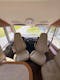 Hymer B 878 SL#11