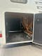 Hymer B 678 Experience NorwayLine Automat 177HK Godt utstyrt!#8